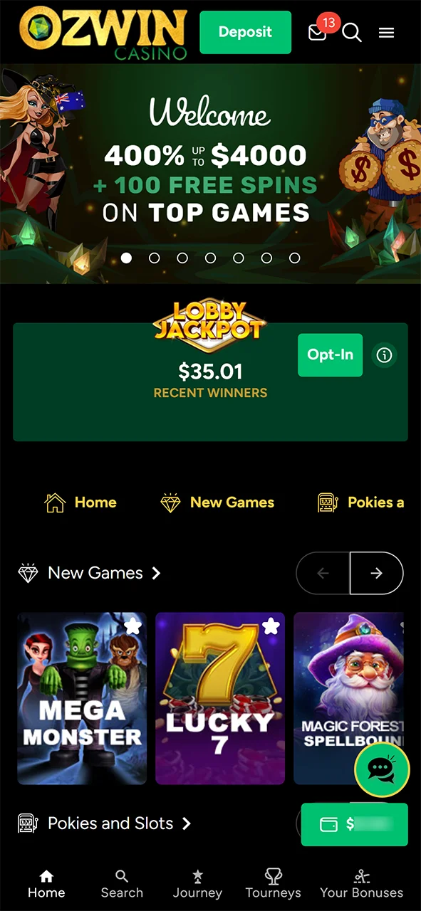 Log in to your Ozwin account.