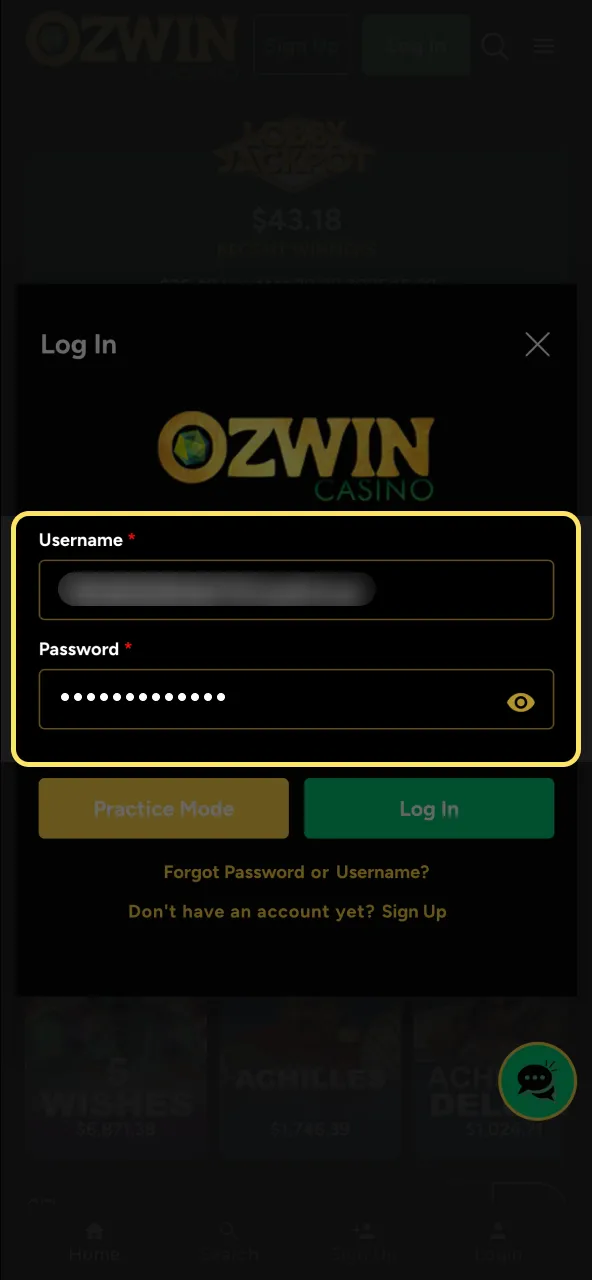 Verification step on Ozwin Casino asking to double-check entered details.