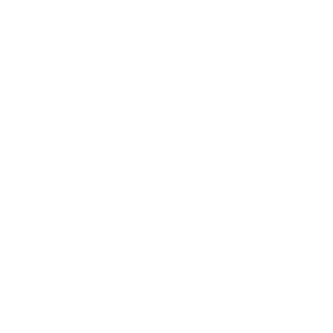 NetEnt logo.
